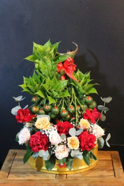 Mâm Qủa Cưới Hỏi