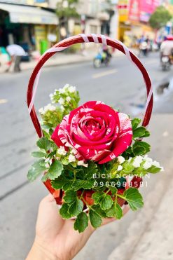 Giỏ Hoa Tươi
