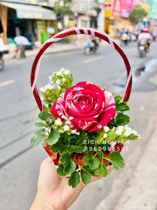 Giỏ Hoa Tươi